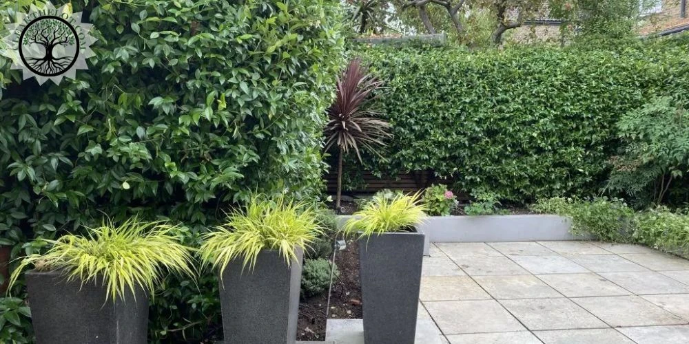 Local Garden Clearance Specialists