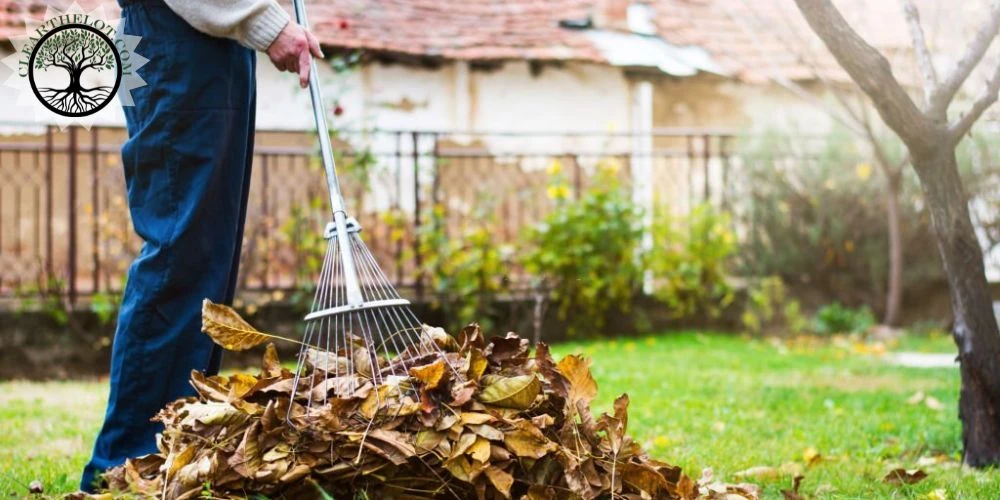 One-off Garden Clearance Services: What They Are and Why You Might Need Them