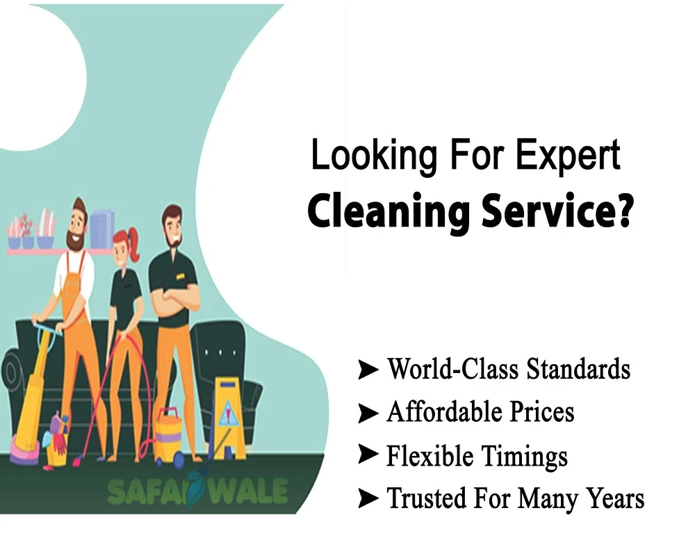 Did You Know About The Best Termite Control Services In Greater Noida?