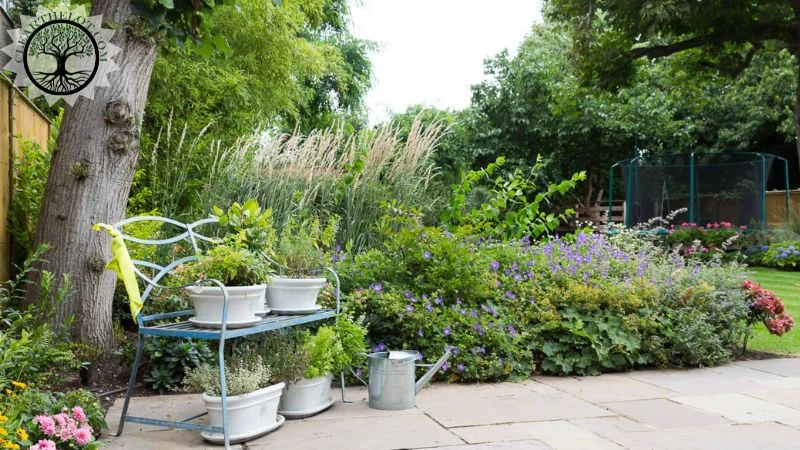 New Year, New Garden, New Space