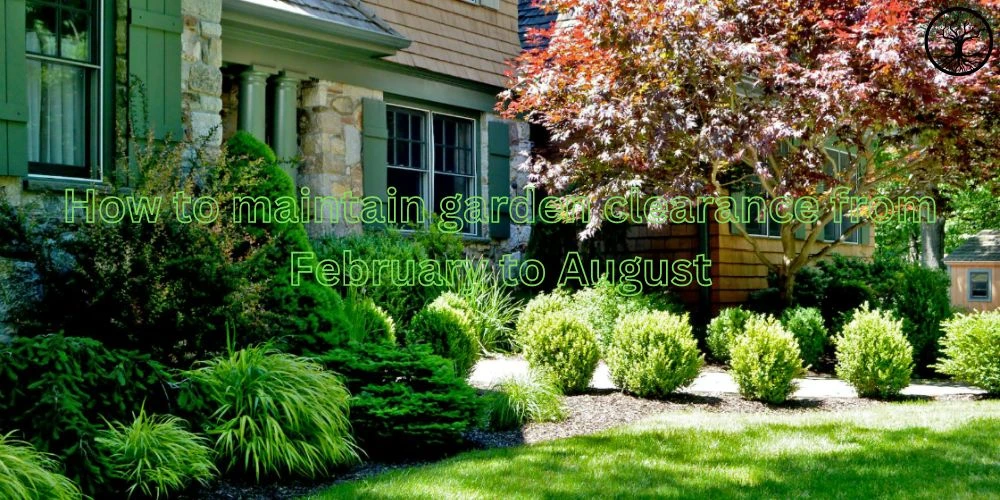 How to maintain garden clearance from February to August