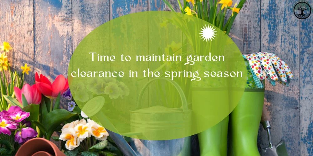 Time to maintain garden clearance in the spring season