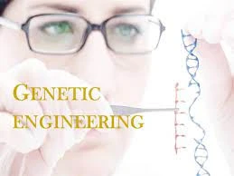 B.Tech Genetic Engineering