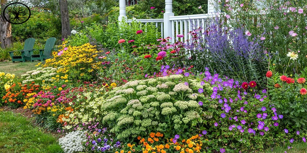 10 hacks for creating a low-maintenance garden Clearance