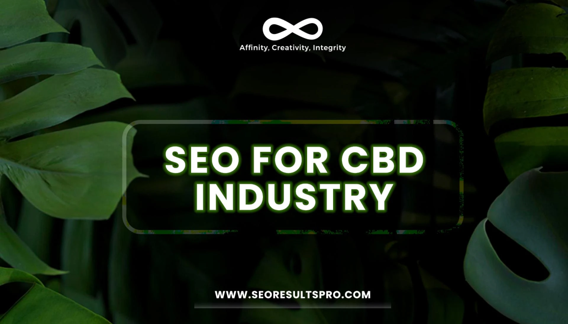 Ready, Set, Grow! Planting the SEO Seeds with an SEO Agency for CBD