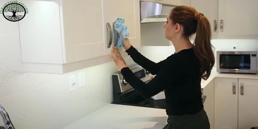 How Professional House cleaner speedily Clean Your Home