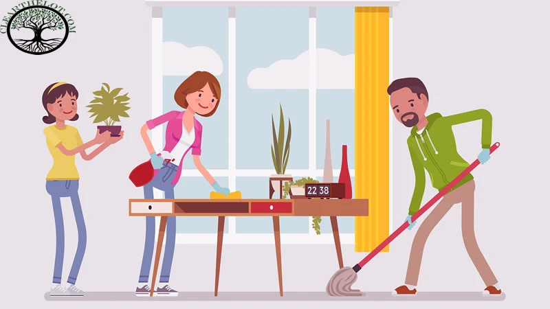 House Clearance: Tips On a Way to Keep Bugs Out of Your House