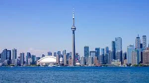 Unleashing Digital Success: Meet the Best SEO Professional in Toronto