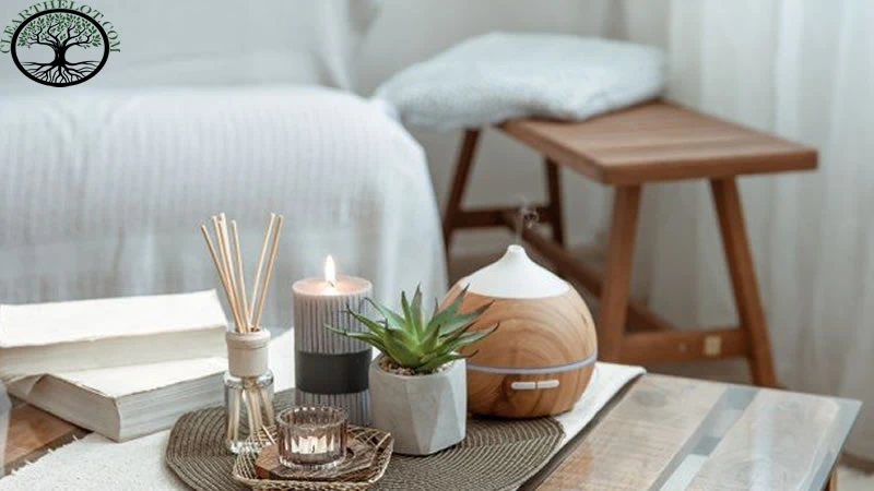 House Clearance: Brilliant Tips That Will Make Your House Smell Great