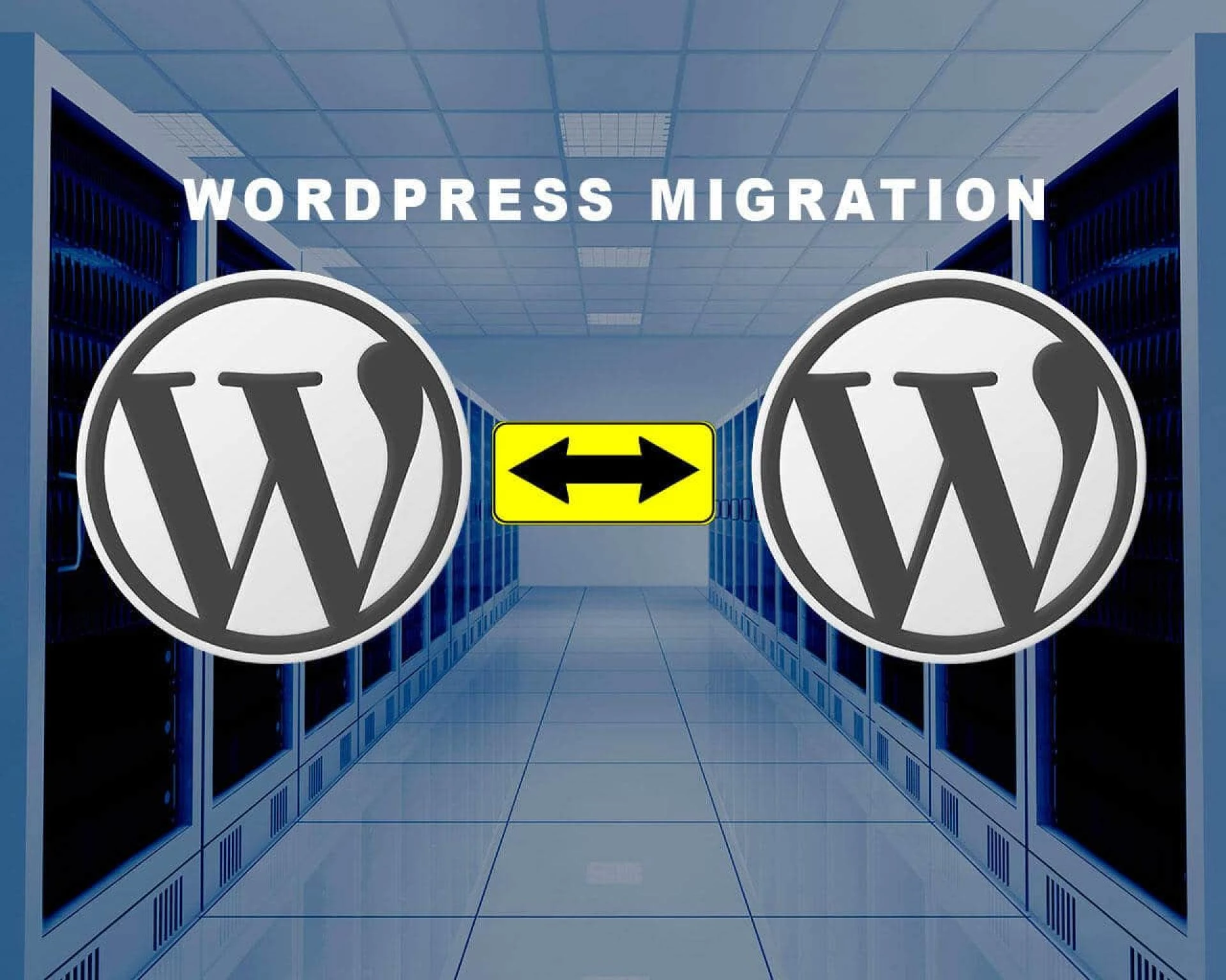 WordPress Migration Services