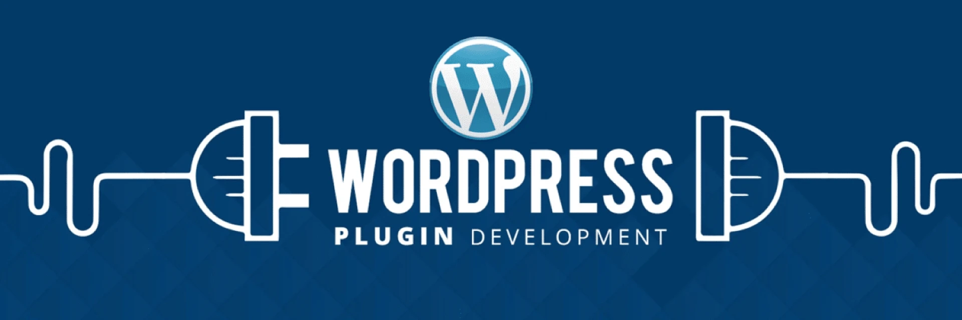 WordPress Plugin Development Services