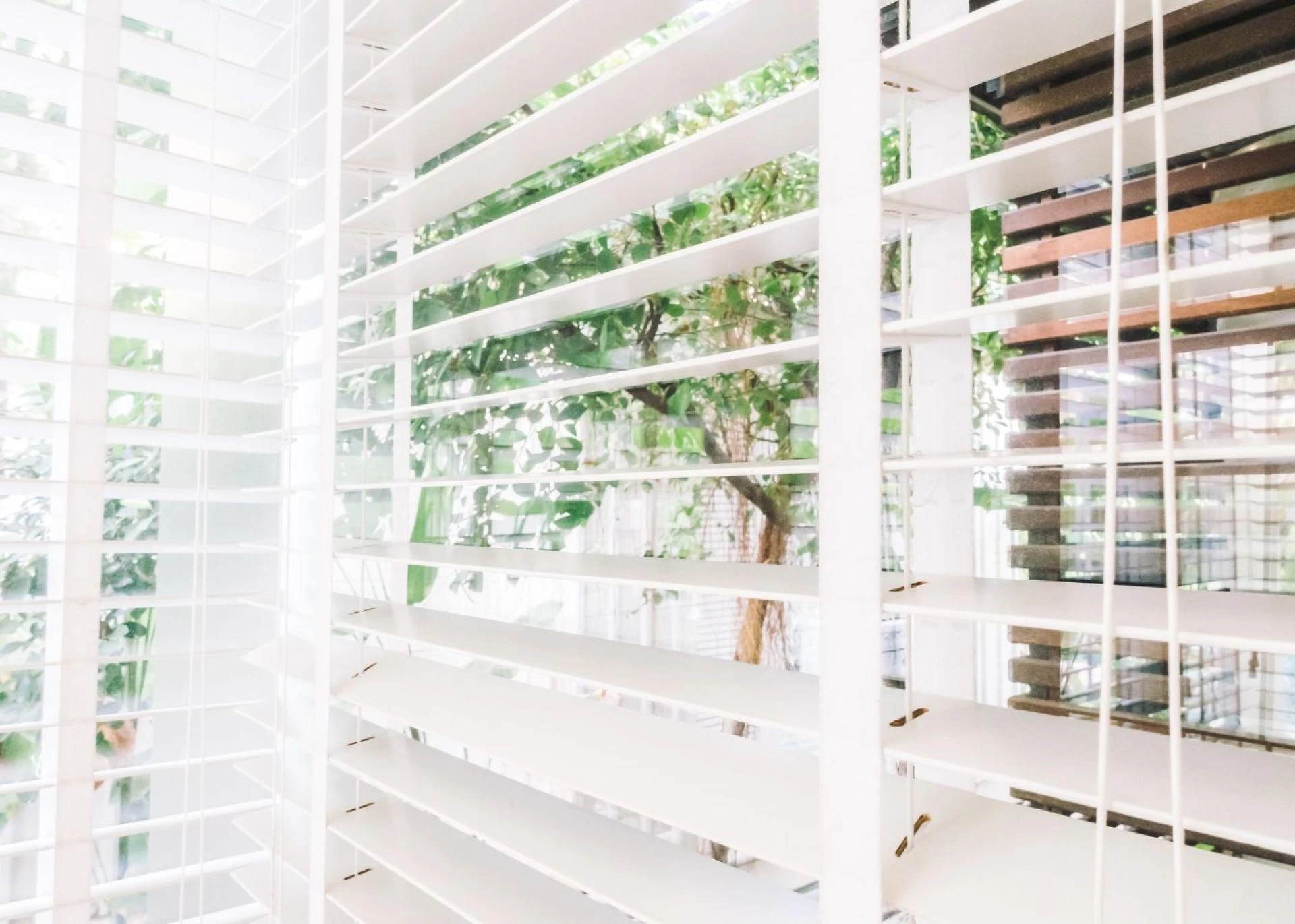 Early Signs Your Blinds Need Repair: Tips from a Window Treatments Installer in Olympia, WA