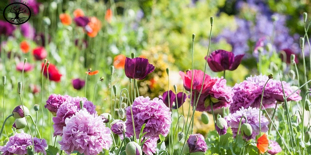 House clearance: Top Tips for Spring Cleaning