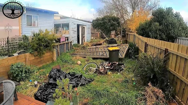 View of Garden Clearance before and after