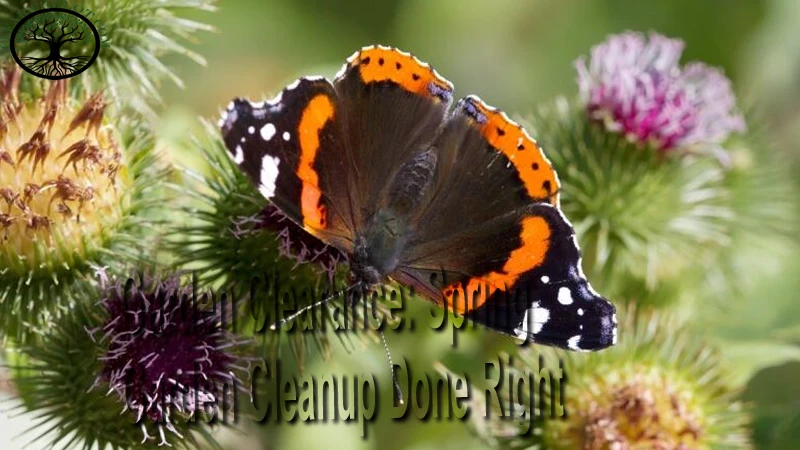 Garden Clearance: Spring Garden Cleanup Done Right