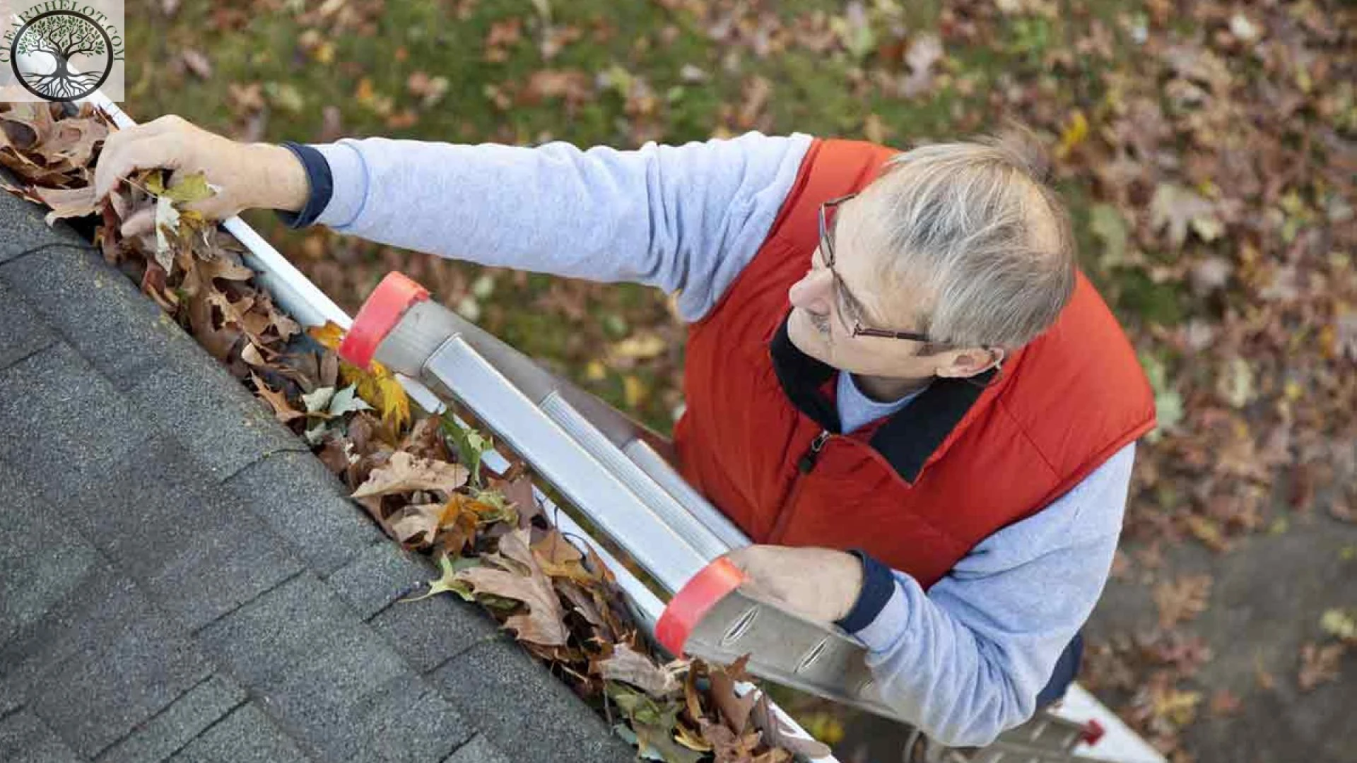 House clearance: 5 Typical Gutter Cleansing Mistakes to Watch Out For https://www.clearthelot.com/house-clearance-5-typical-gutter-cleansing-mistakes-to-watch-