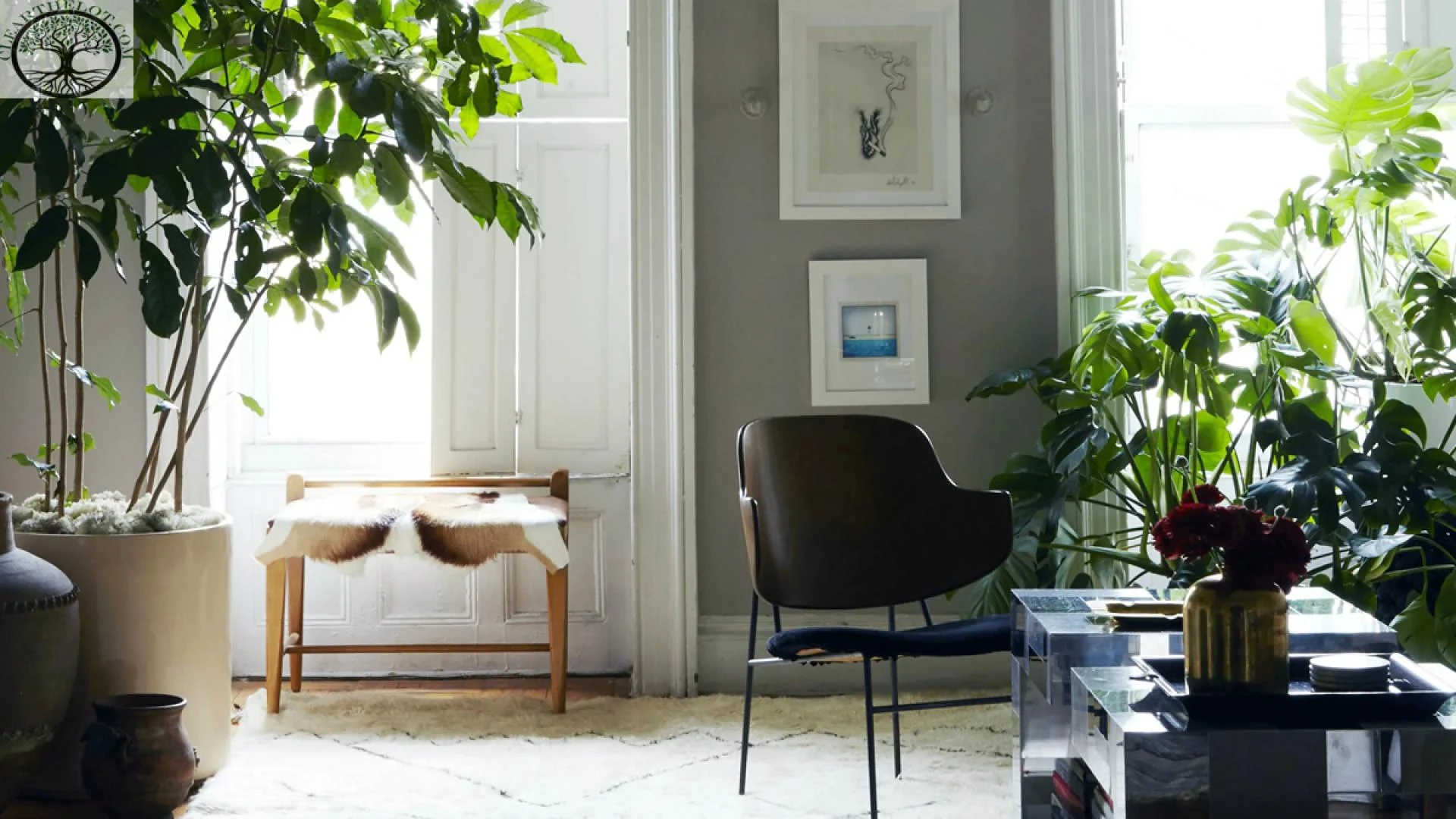 10 House Clearance Suggestions to Transform Your Home to Have a Makeover