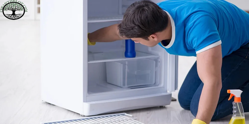 House Clearance: Exactly how to get ready for a home cleaning