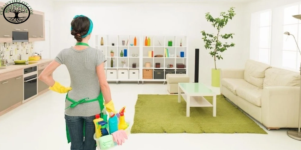 House Clearance: Easy Ways to Maintain Your Home Clean