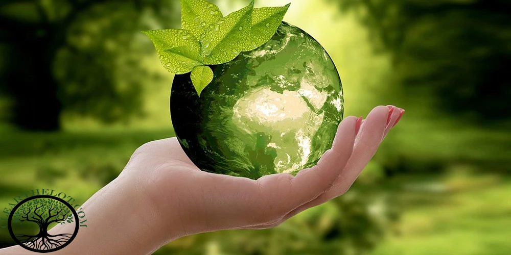 Tips-For-House-Clearance-For-Eco-Friendly-Disposal