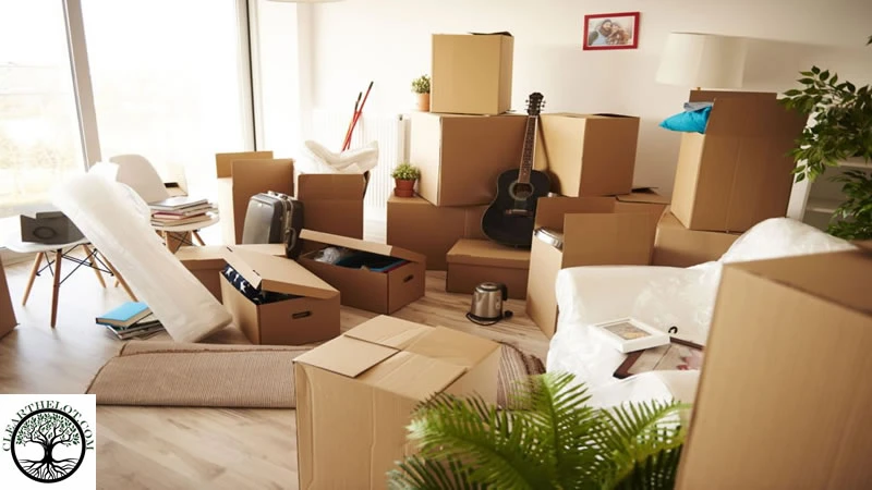 During a house clearance, here are 5 things you can take to protect the environment