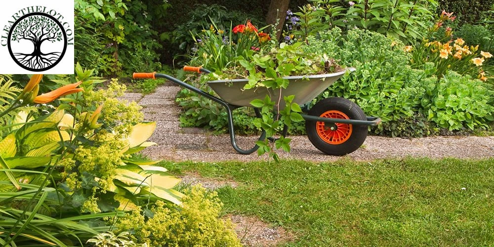 6 causes to appoint a garden clearance corporation