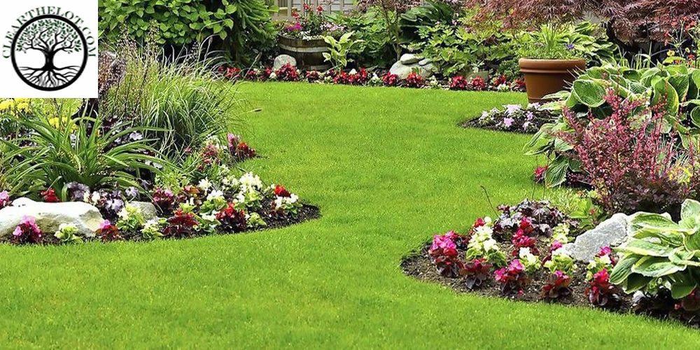 Garden Clearance: Get your Better London Garden Cleared in period for seasonal