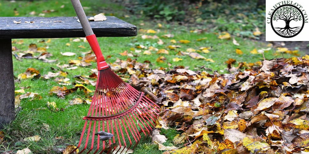 How sHow significant is garden clearance separation?ignificant is garden clearance separation?