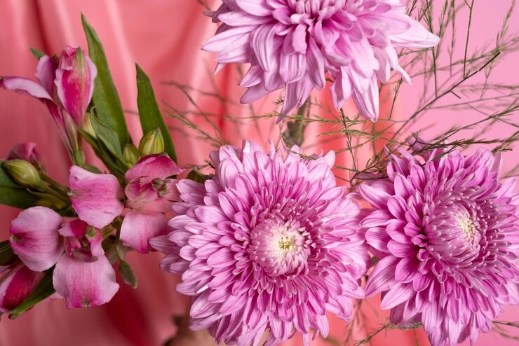 A Guide to November Birth Month Flowers