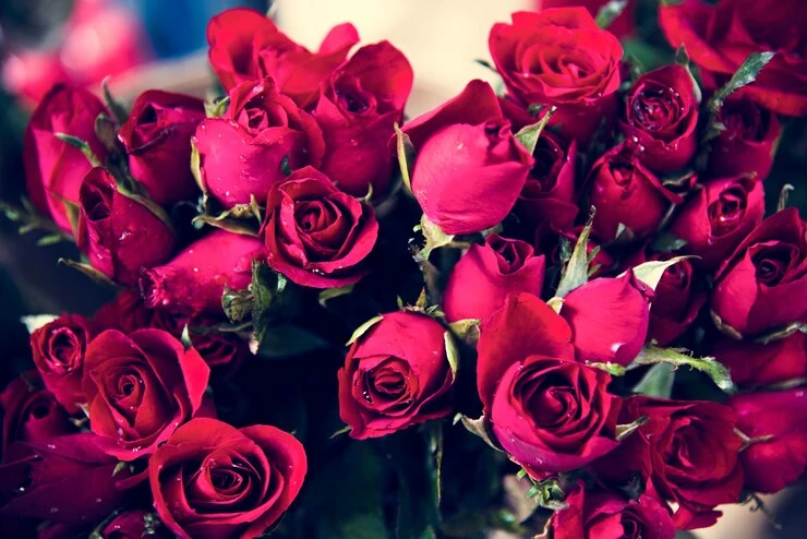 The Origin of Valentine's Day's Colors