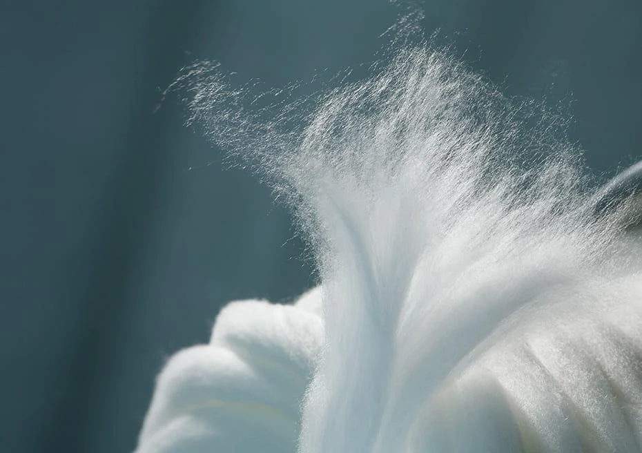 Lyocell Fiber Market Outlook, Growth Potential, Opportunities &amp; Trends