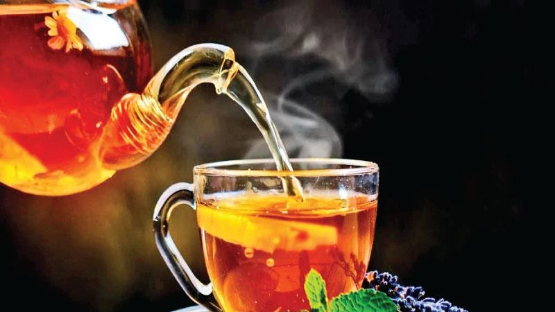Tea Market Trends, Size, Growth, Leading Companies and Industry Report 2023-2028