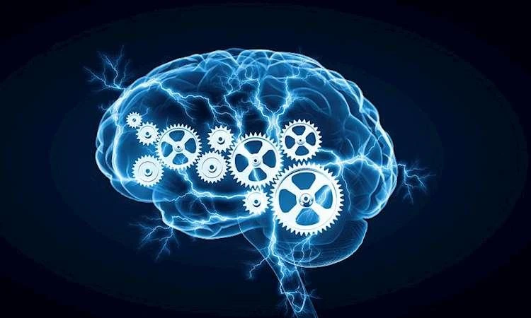 In-Memory Analytics Market Size, Share, Demand and Forecast 2022-2027