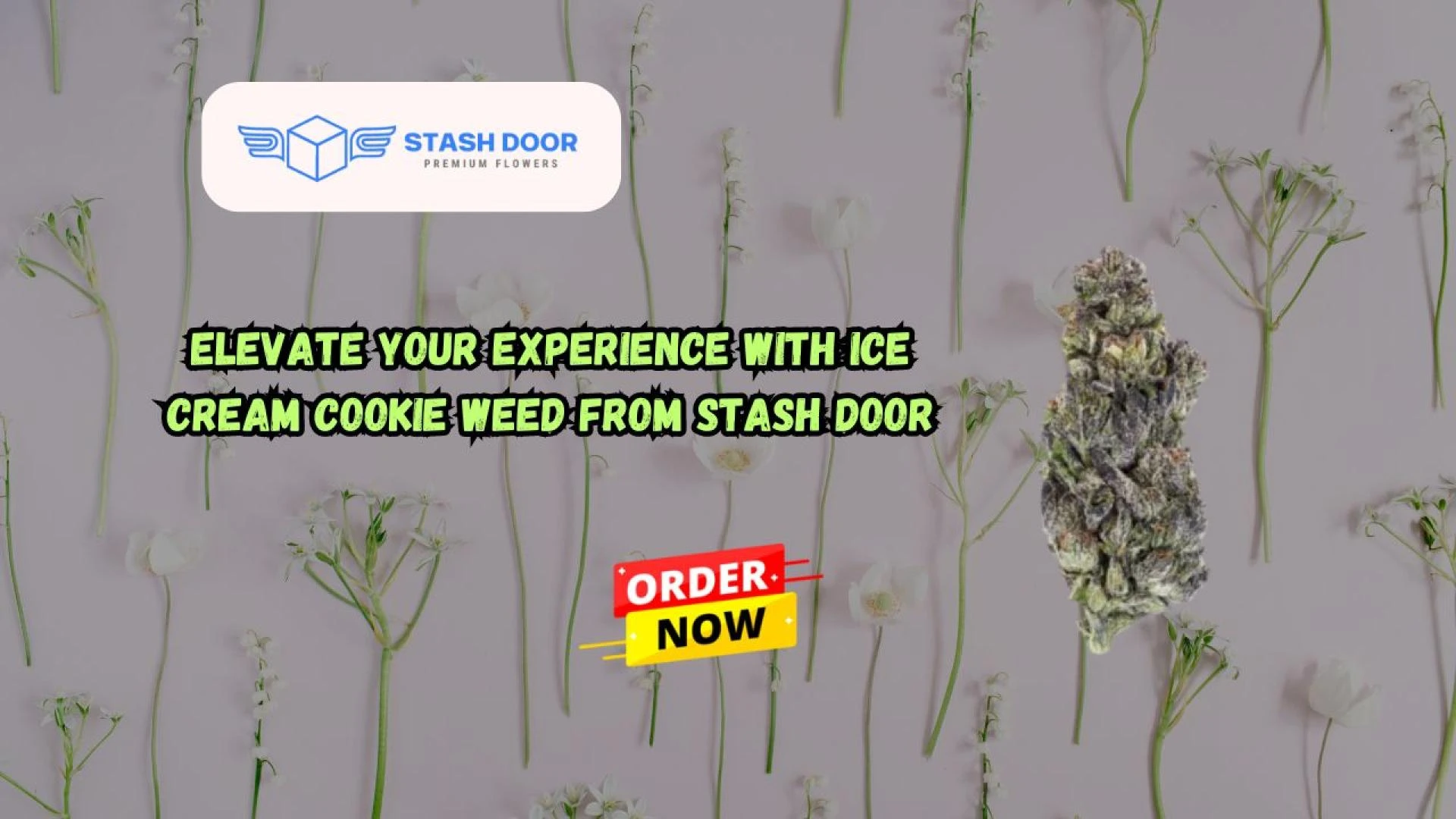 Elevate Your Experience with Ice Cream Cookie Weed from Stash Door
