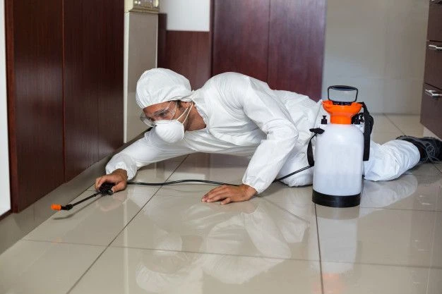 Why Do You Appoint Local Pest Control Hobart Experts?