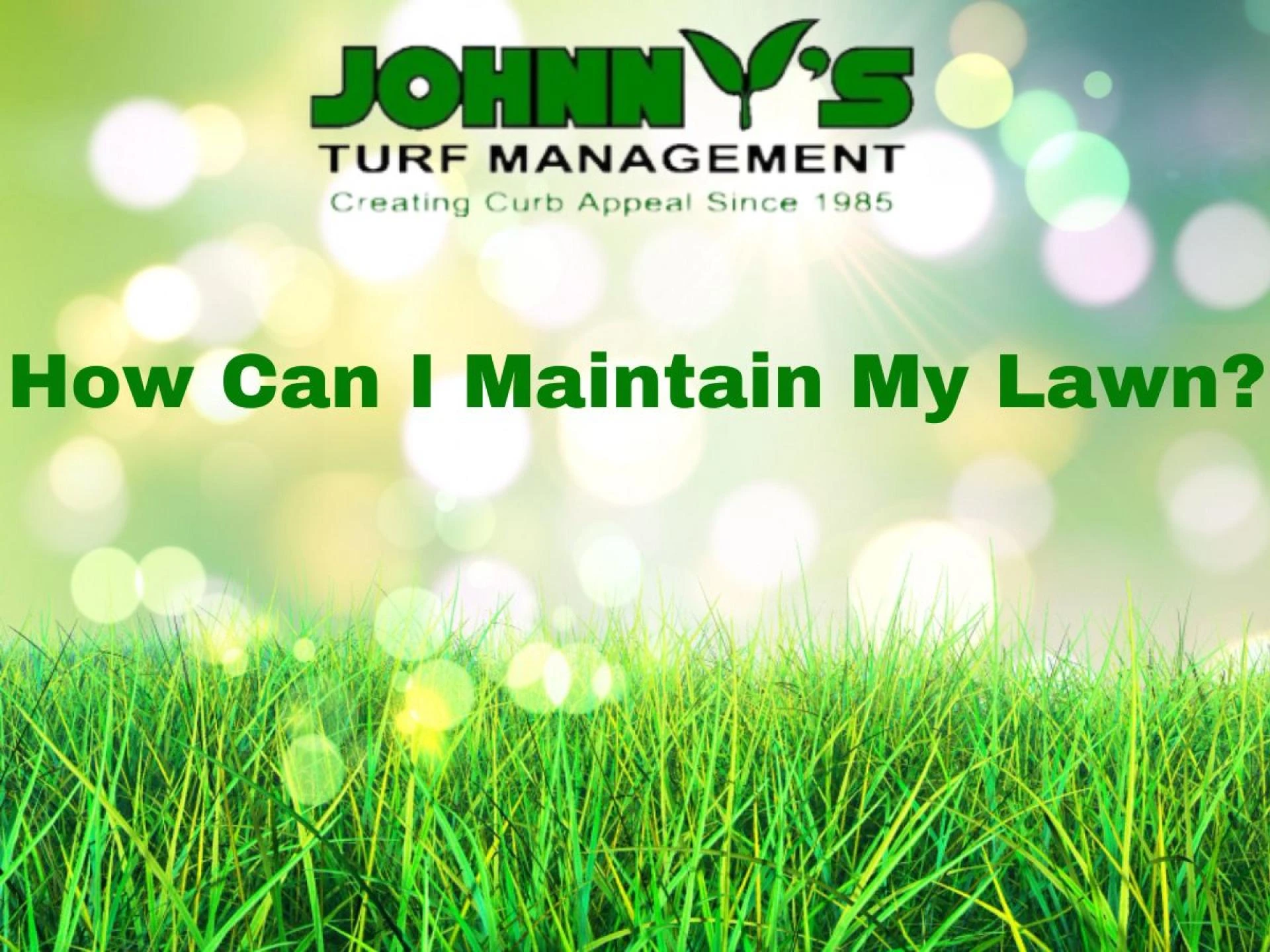 How can I maintain my lawn?