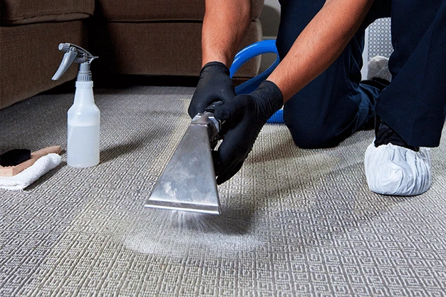 Carpet Cleaning Hoppers Crossing