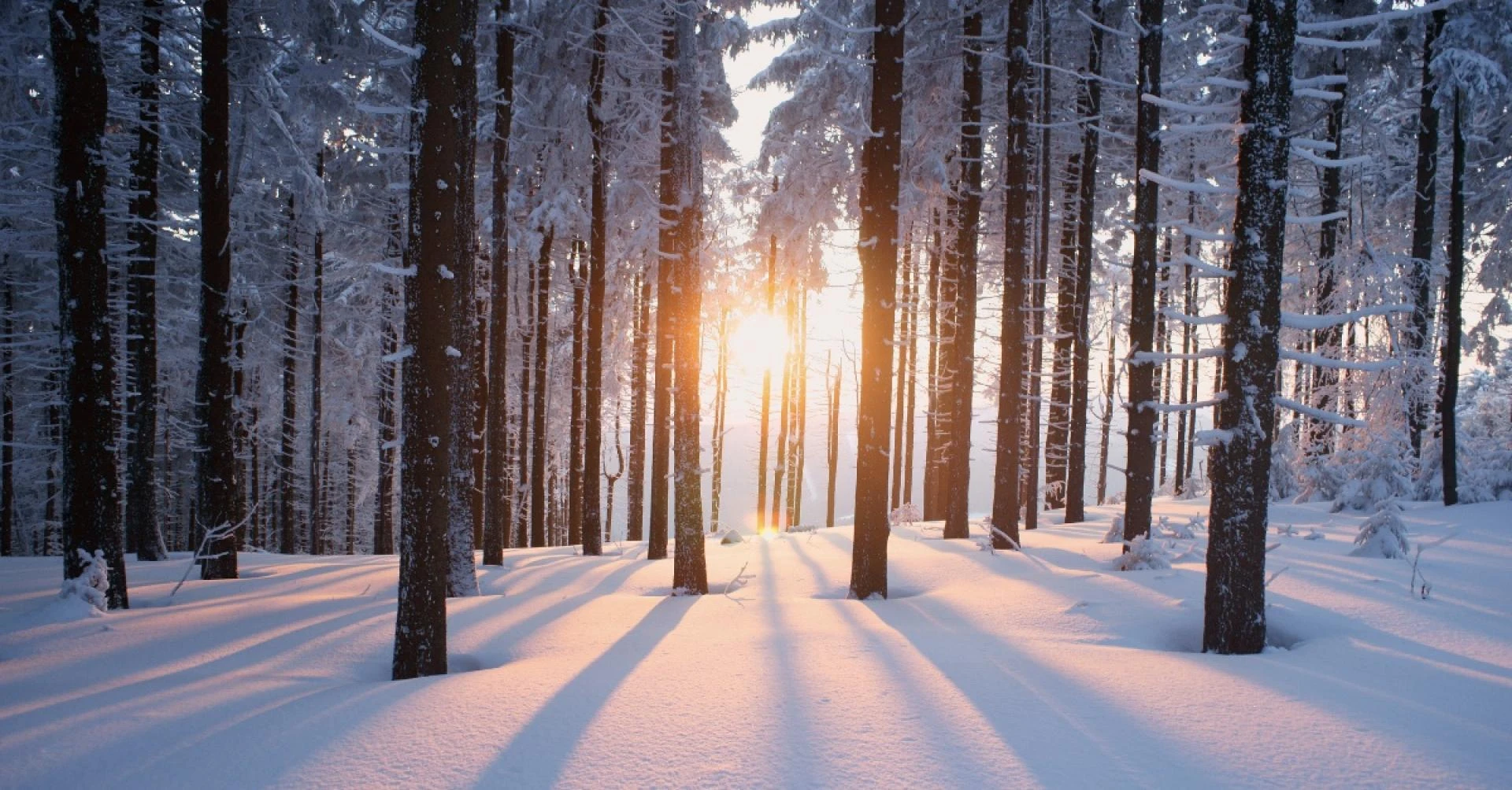 What to know about moving during different seasons