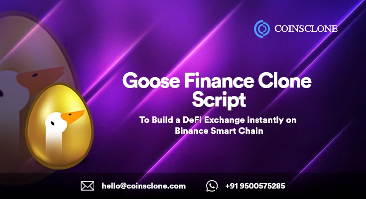 Build a DeFi Exchange on Binance Smart Chain using goose finance clone script