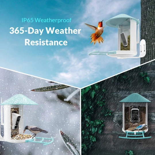 What Makes a Good Squirrel Feeder?