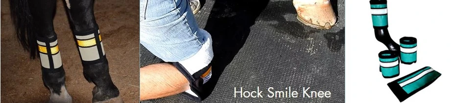 Why Invest in Fly Boots Designed for Horses?