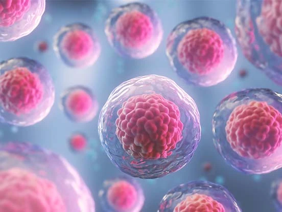 Stem Cell Assays Market size is expected to grow to USD 7,925.2 million by 2030