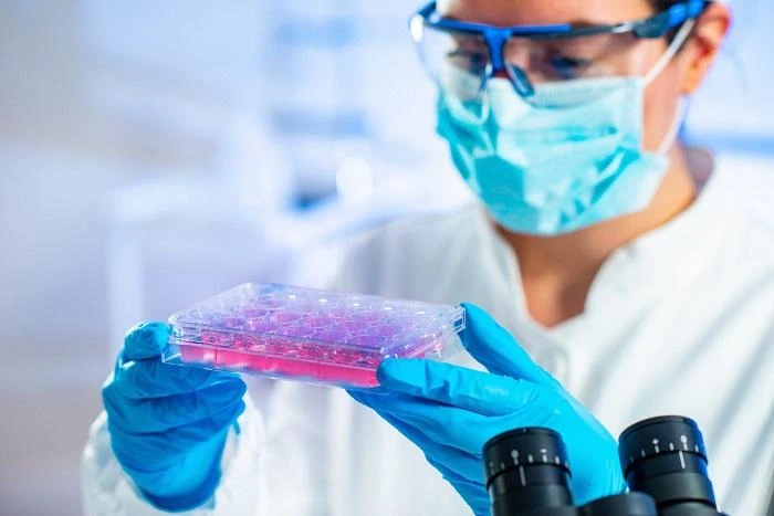 Stem Cell Assays Market size is expected to grow to USD 7,925.2 million by 2030