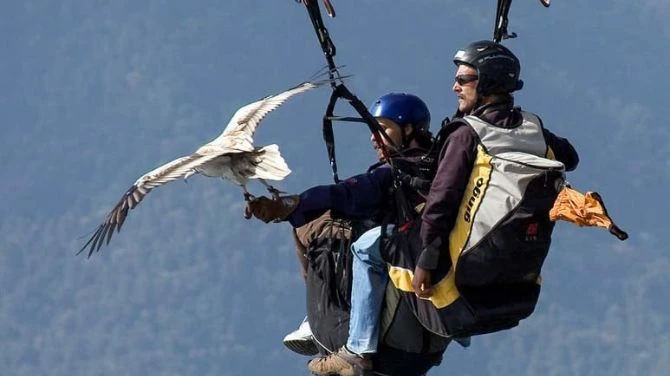 Best Trekking and tour agency in Nepal