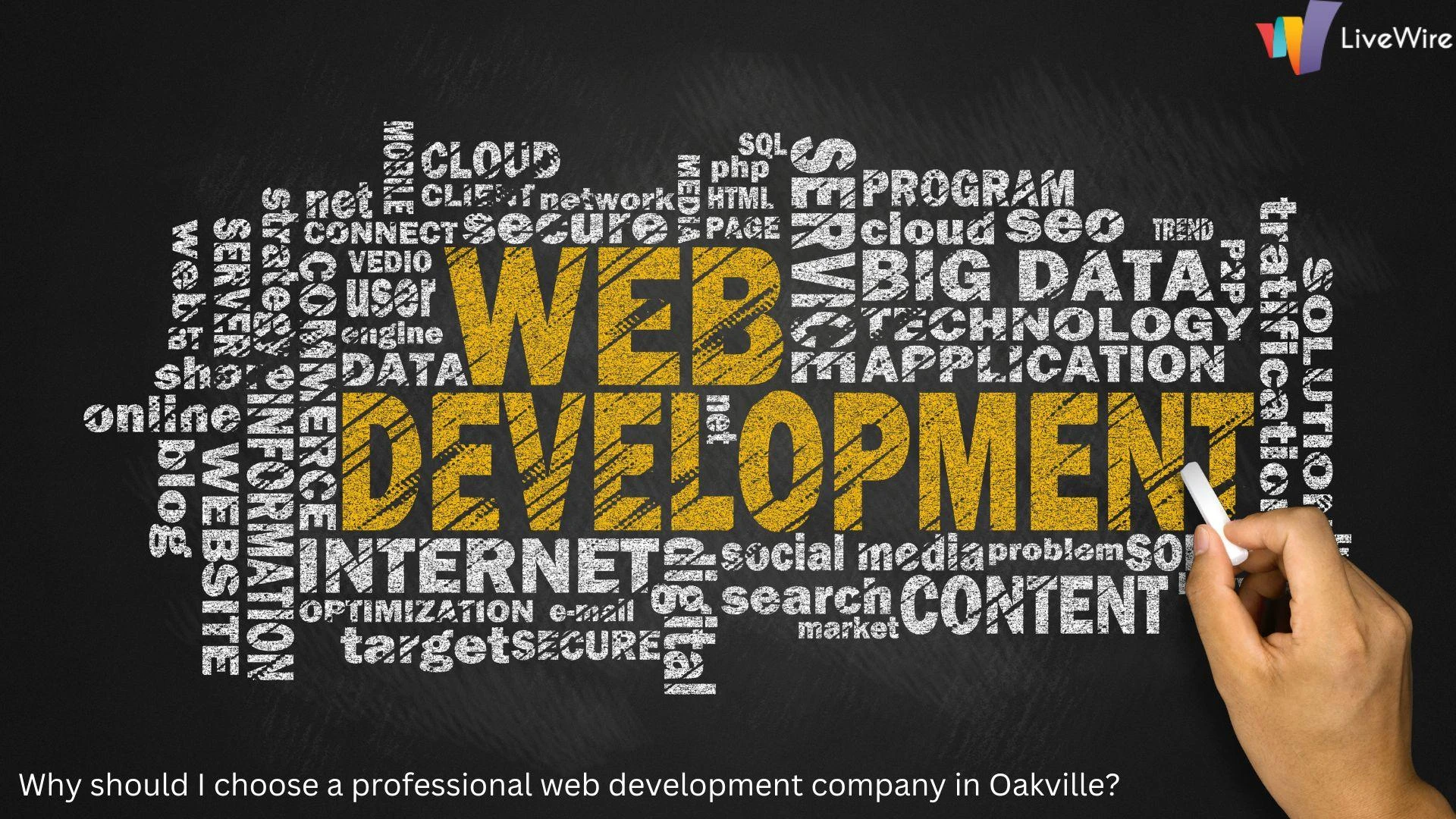 Why should I choose a professional web development company in Oakville?