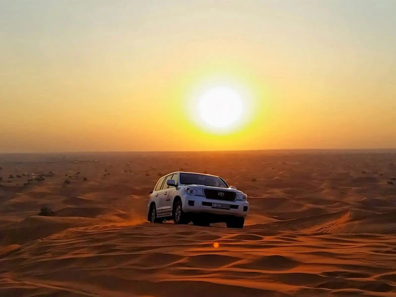 Top Places in Dubai for safari