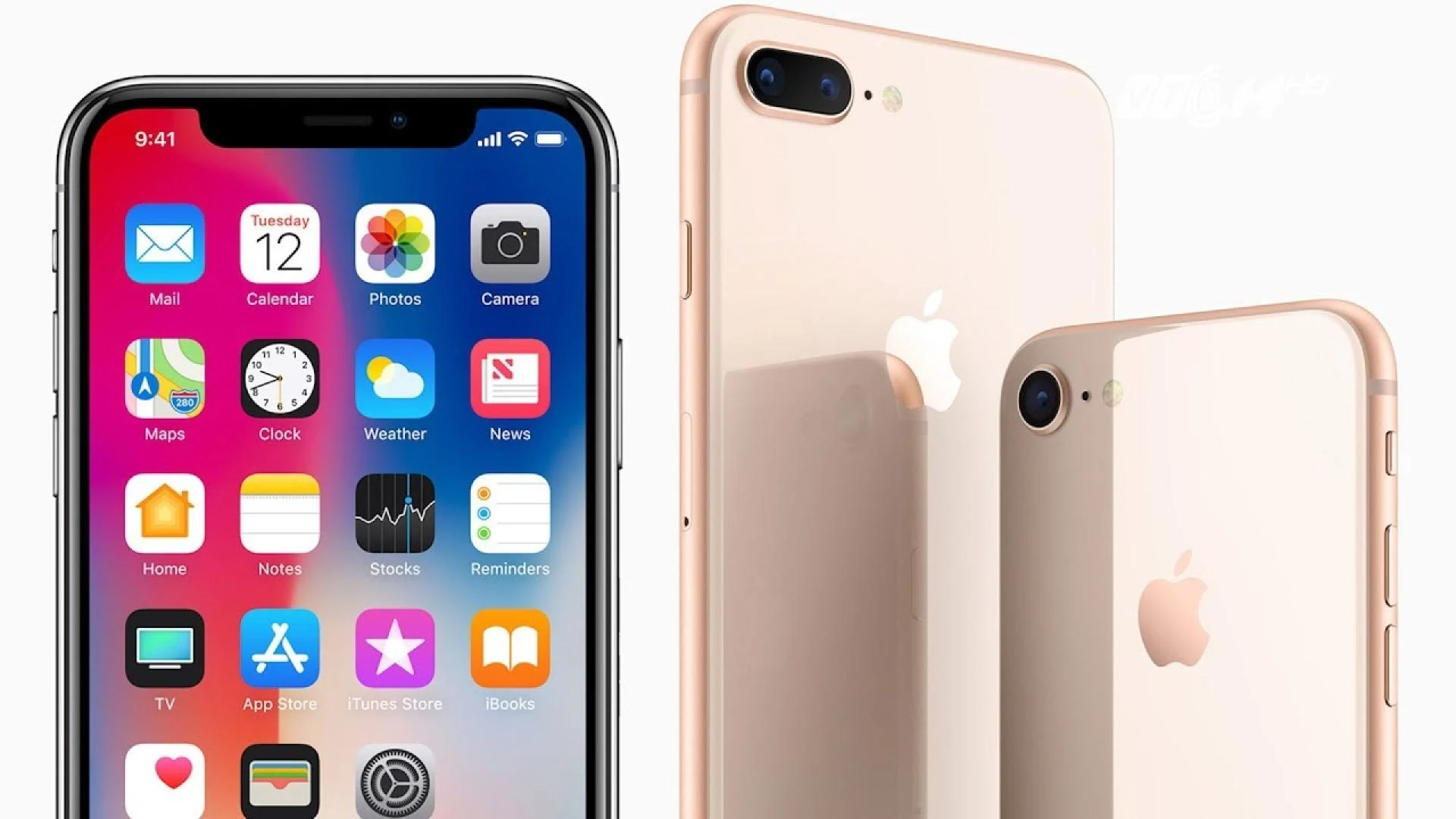 Top 5 Places to Buy Bulk iPhones Online: A Comprehensive Comparison Guide