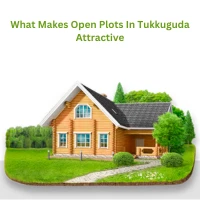 What Makes Open Plots In Tukkuguda Attractive