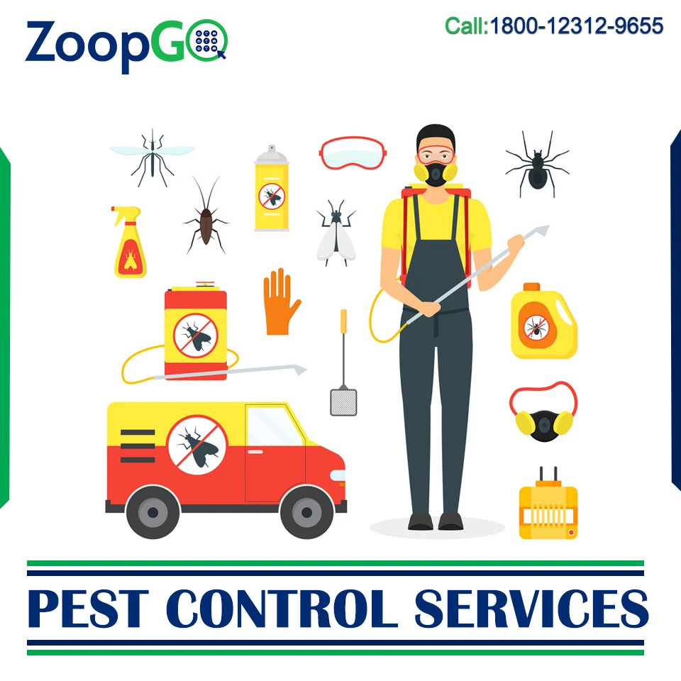 What are the Tips to Find the Best Pest Control Services?