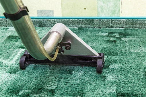 Certified Carpet Cleaning: Finding the Best Professional